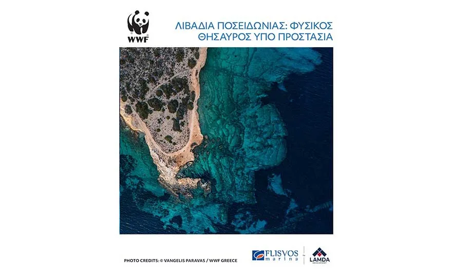 LAMDA Flisvos Marina & WWF Ελλάς για την προστασία της θάλασσας που αγαπάμε
